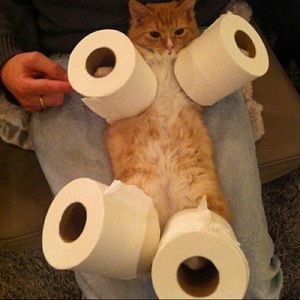 Meet your Posher, Jasmine